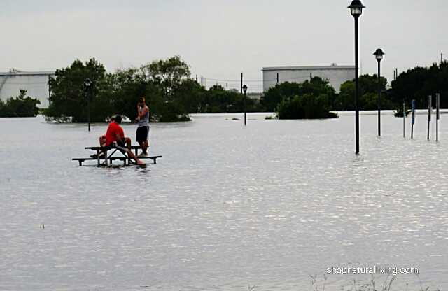 Picture of people on top of picnic table at flooded park near Houston, TX, Hurricane Harvey